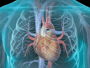 Chirurgia Vascolare – Angiologia