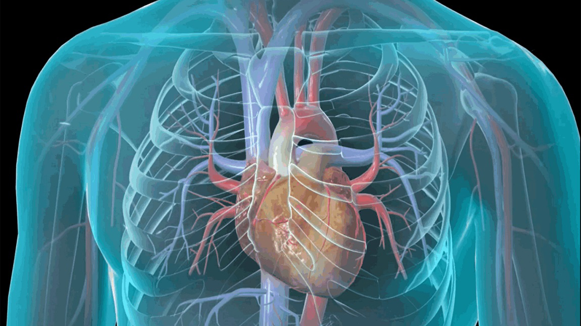 Chirurgia Vascolare Angiologia BioMedical Centro Medico A Cosenza