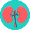 kidney