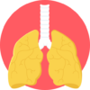 lung