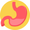 stomach